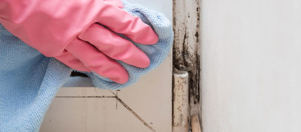 How to Clear Out Mould and Musty Smells Fast
