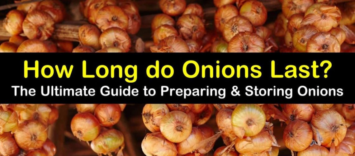 how to store onions with easer lifestyle