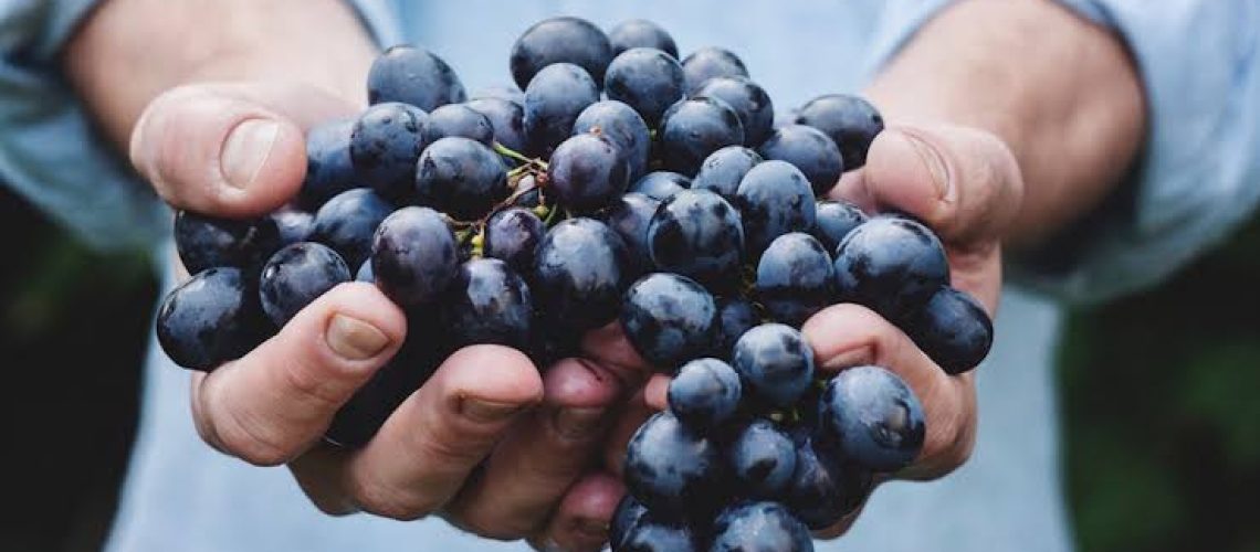 Reducing Food Waste Through Community Action