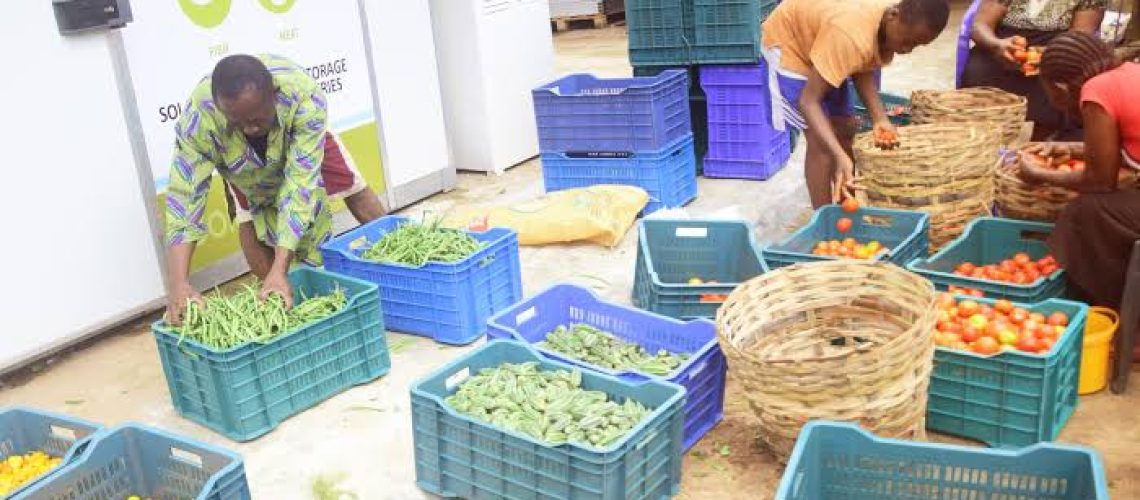 Bulk Food Strategies for Large African Households
