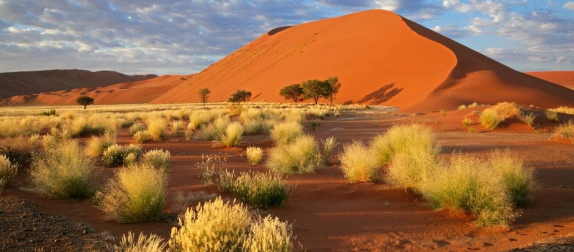 Exploring Africa's Desert Landscapes