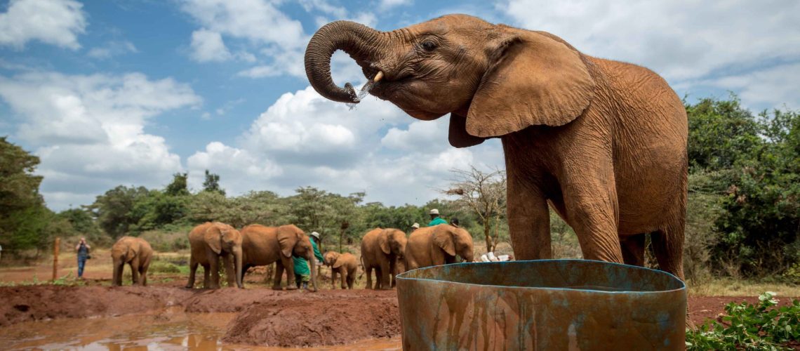 African Destinations That Combine Nature and History